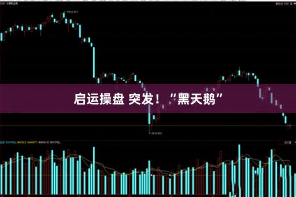 启运操盘 突发！“黑天鹅”