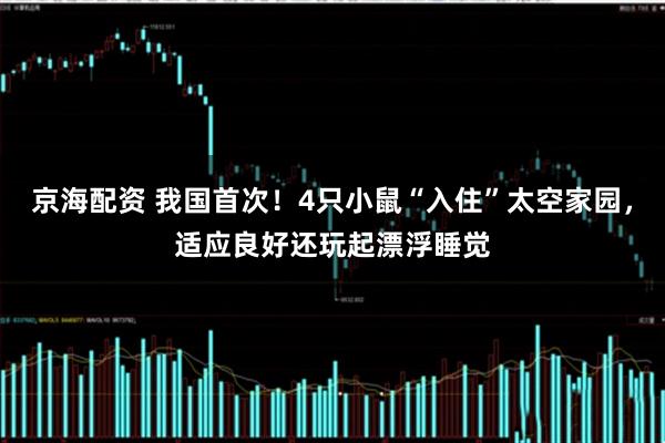 京海配资 我国首次！4只小鼠“入住”太空家园，适应良好还玩起漂浮睡觉