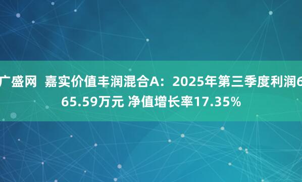 广盛网  嘉实价值丰润混合A：2025年第三季度利润665.59万元 净值增长率17.35%