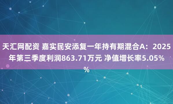 天汇网配资 嘉实民安添复一年持有期混合A：2025年第三季度利润863.71万元 净值增长率5.05%